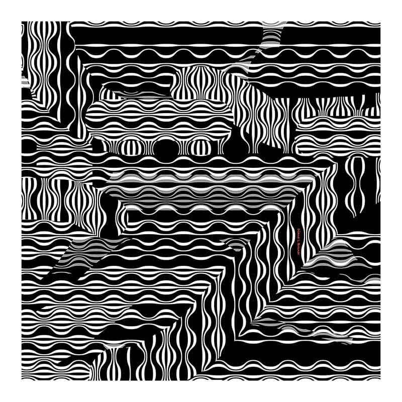 BLACK AND WHITE EXOTIC by Diana L. Bruner