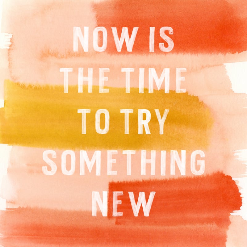  Something New  by ALICIA BOCK