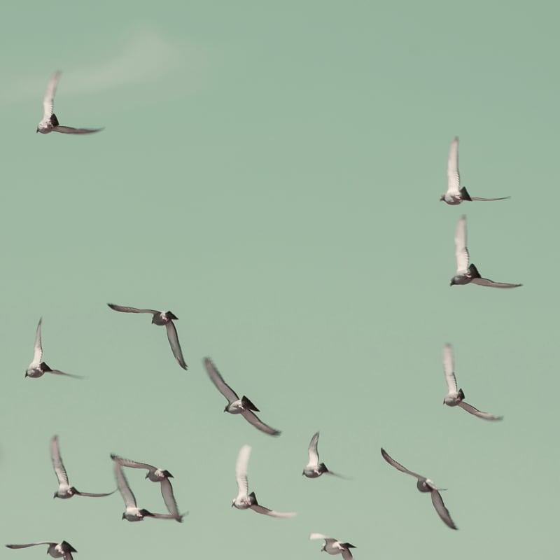 Mint Skies by Debra Cox