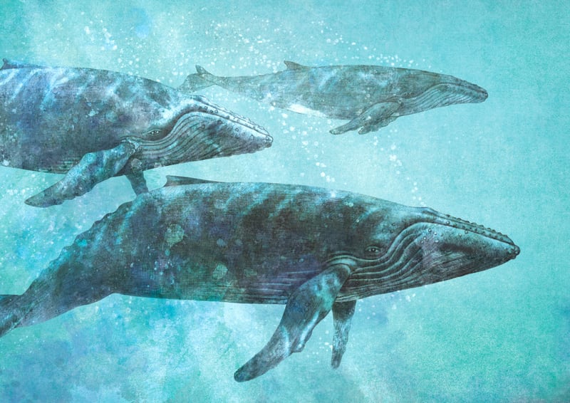 Pod by Terry Fan