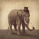 A Fine Vintage by Terry Fan thumbnail