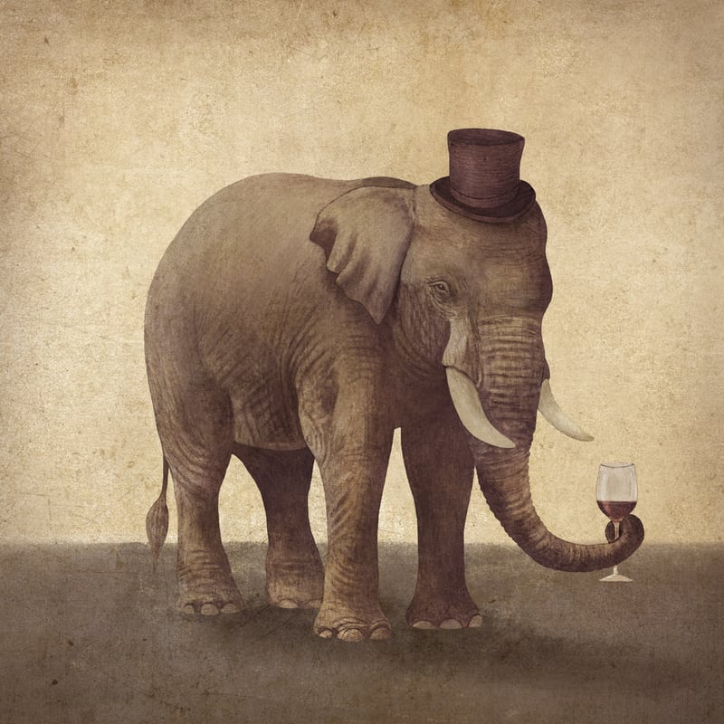 A Fine Vintage by Terry Fan
