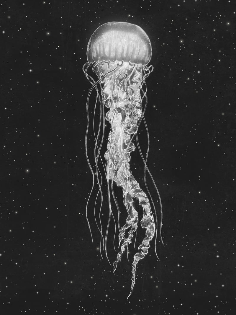 Space Jelly by Terry Fan