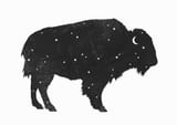 Mystic Buffalo by Terry Fan thumbnail