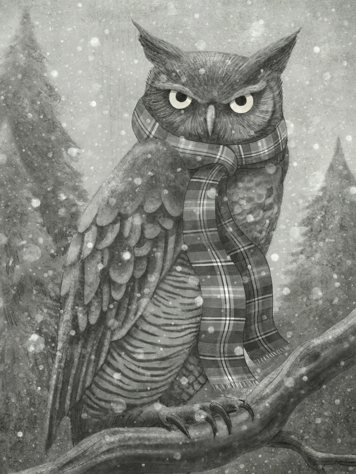 Winter Owl by Terry Fan