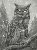 Winter Owl by Terry Fan thumbnail