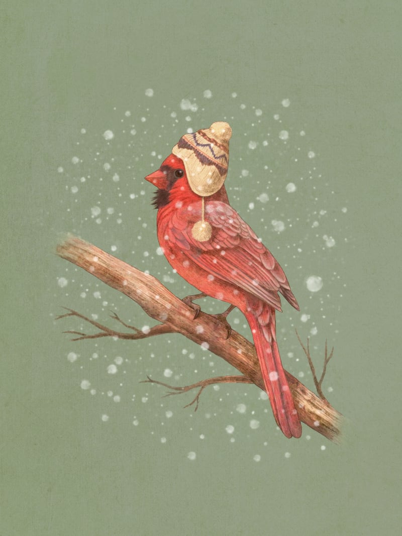 First Snow by Terry Fan