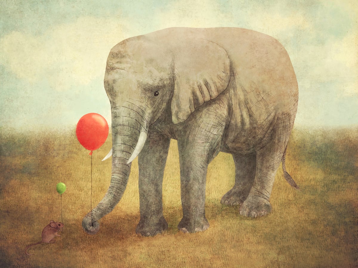 Truce by Terry Fan
