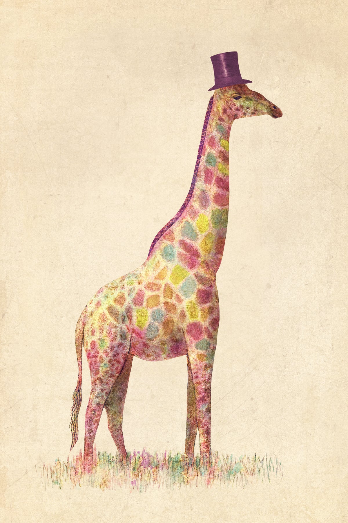 Fashionable Giraffe by Terry Fan