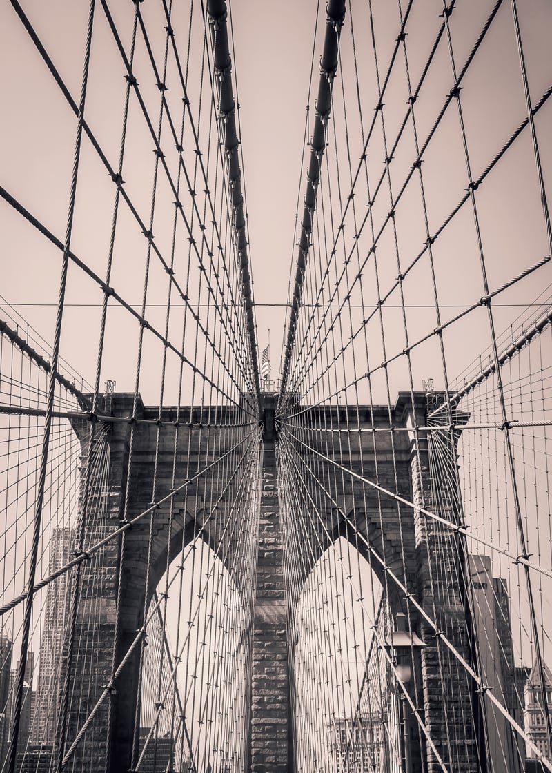 Brooklyn In Pink by Debra Cox