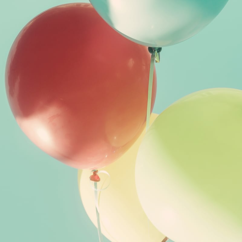 So Much Fun by Debra Cox