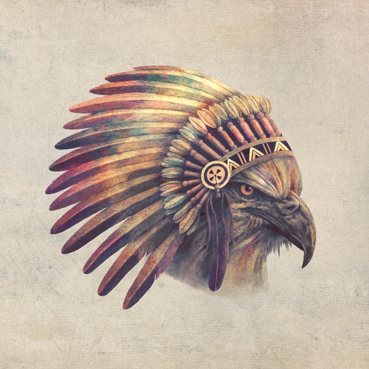 Eagle Chief by Terry Fan