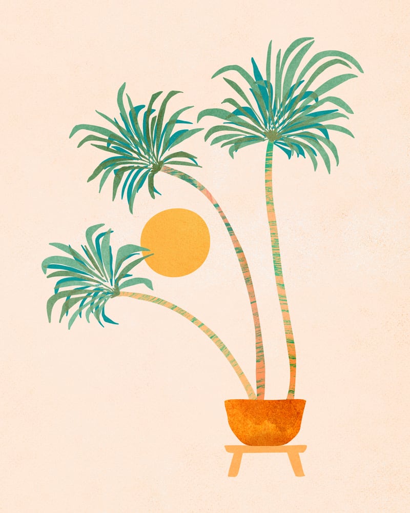 So Cal Palms  by Modern Tropical