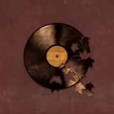 Autumn Song by Terry Fan thumbnail