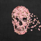 A Beautiful Death by Terry Fan thumbnail