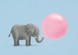 Jumbo Bubble Gum by Terry Fan thumbnail