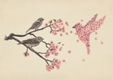 Blossom Bird by Terry Fan thumbnail