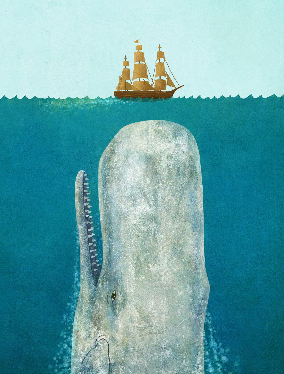 The Whale by Terry Fan