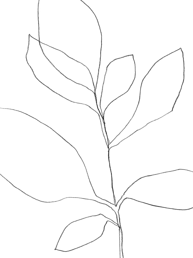 Seven Leaf Plant by Gallery J9