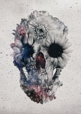 Floral Skull 2 by Ali Gulec thumbnail