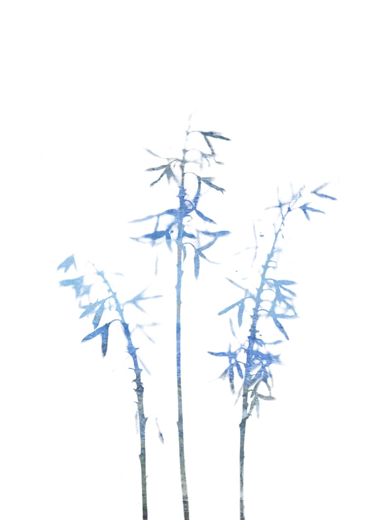 Blue Hosta by Gallery J9