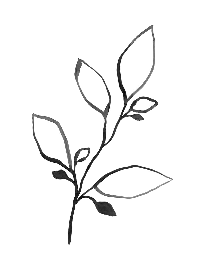 Ink Plant by Gallery J9