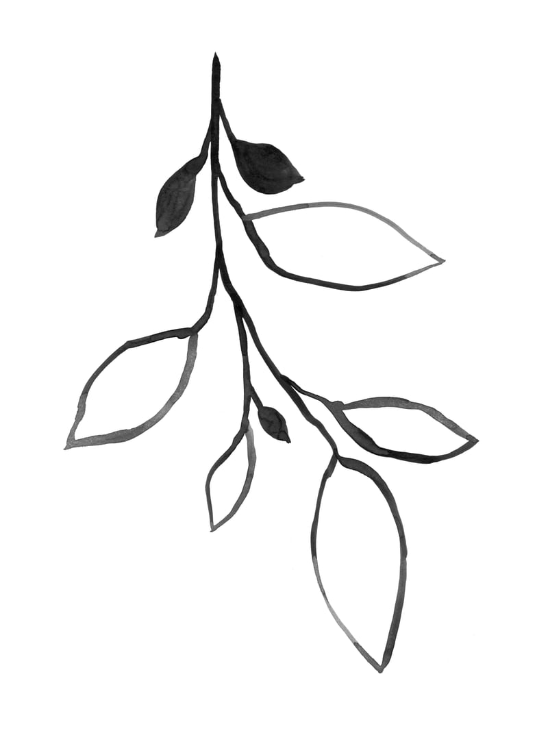 Ink Plant 3 by Gallery J9