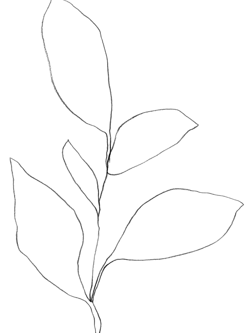 Five Leaf Plant by Gallery J9