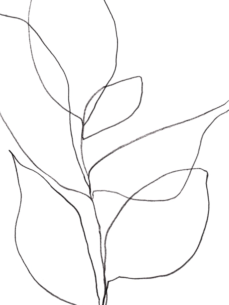 Plant Line Drawing by Gallery J9