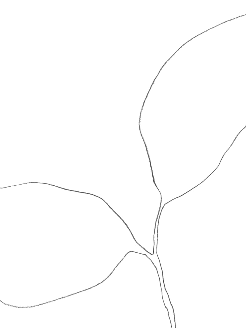Seedling Leaning Left by Gallery J9