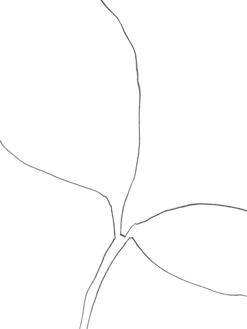 Seedling Leaning Right by Gallery J9