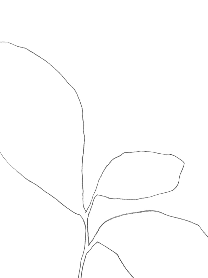 Three Leaf Seedling by Gallery J9
