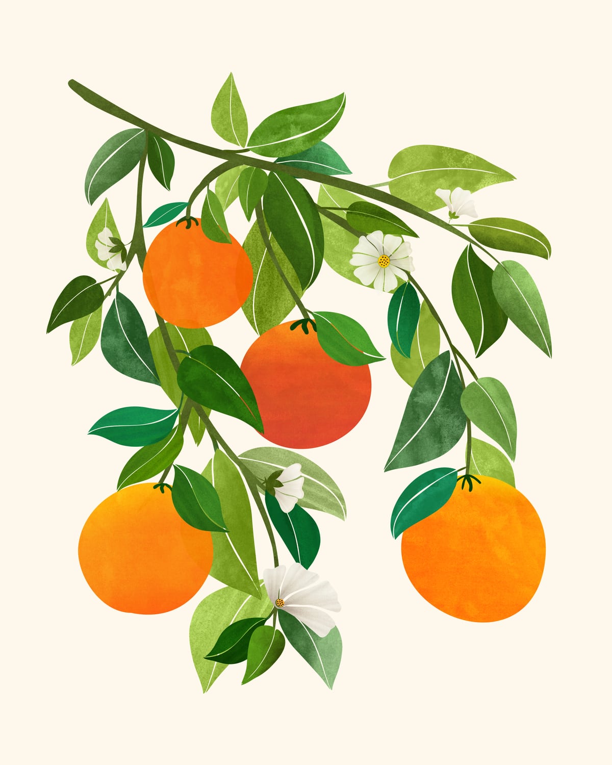 Oranges and Blossoms II by Modern Tropical