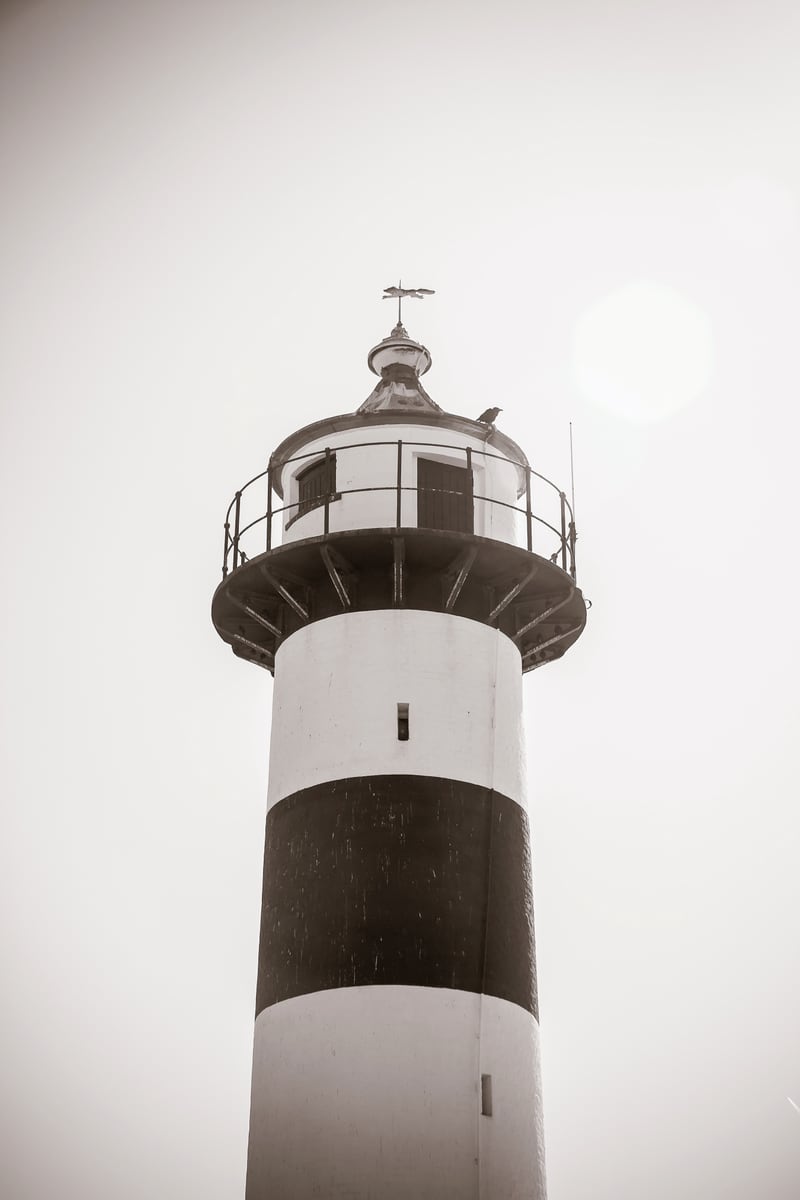 Lookout #2 by Debra Cox