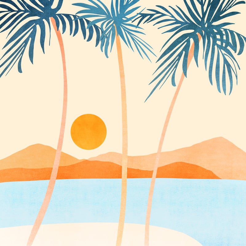 Baja California Coast by Modern Tropical