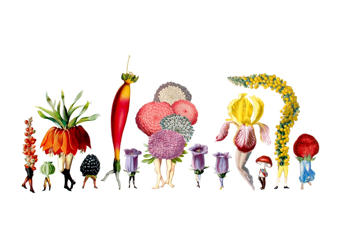 Garden Party by Amy Ross