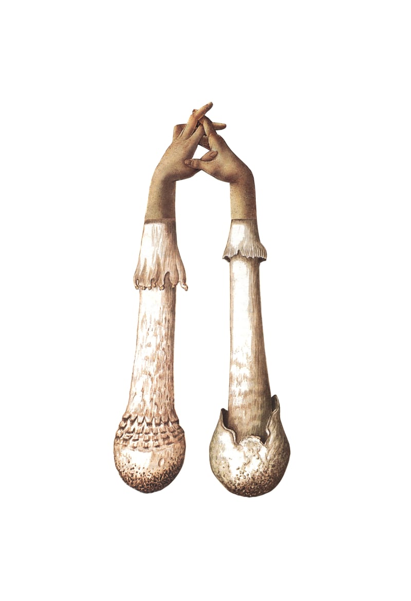Handshrooms by Amy Ross
