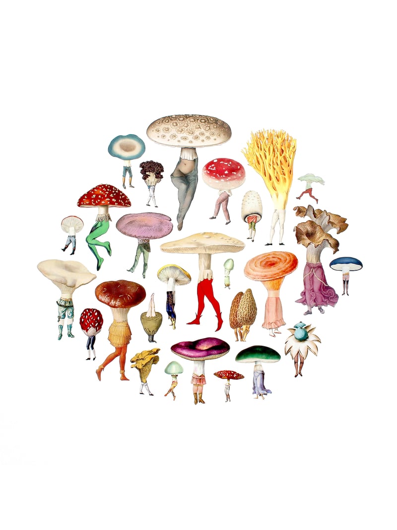 Mushroom Patch by Amy Ross