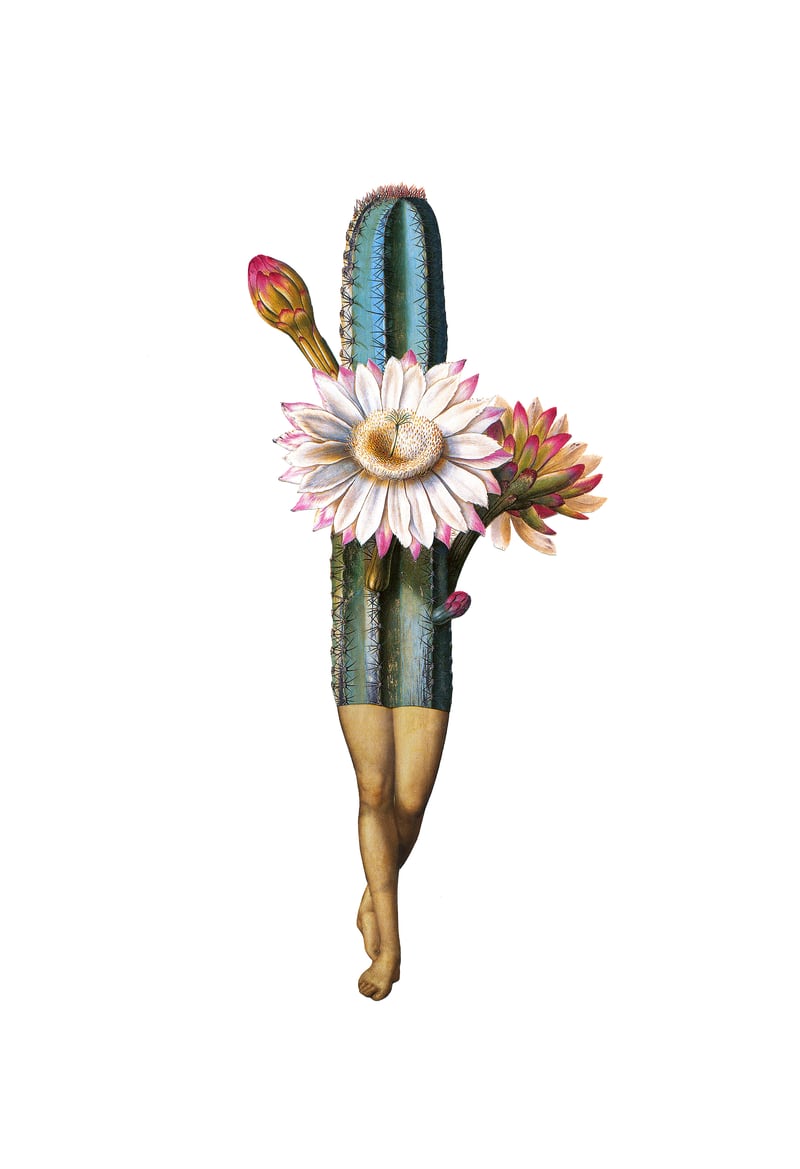Night Bloomer by Amy Ross