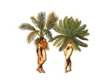 The Palms by Amy Ross thumbnail