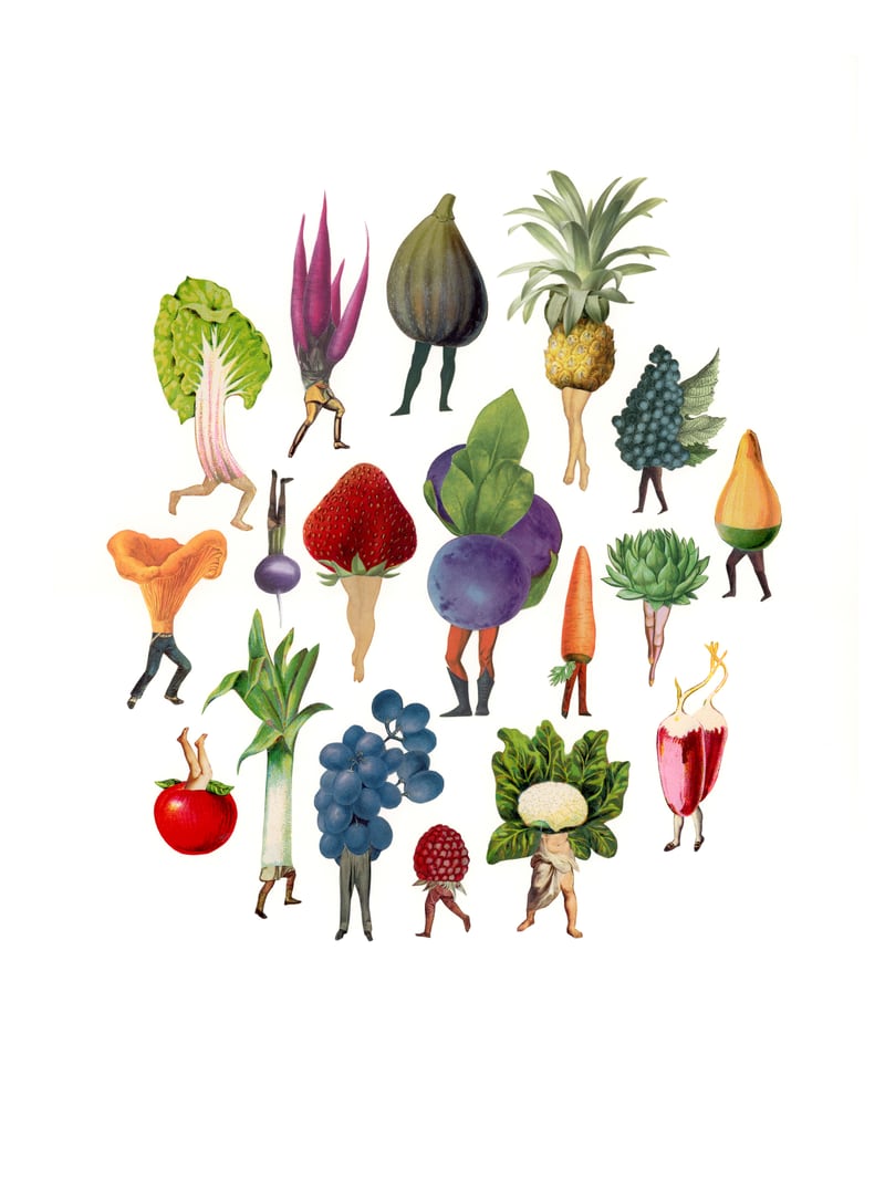 You Are What You Eat by Amy Ross