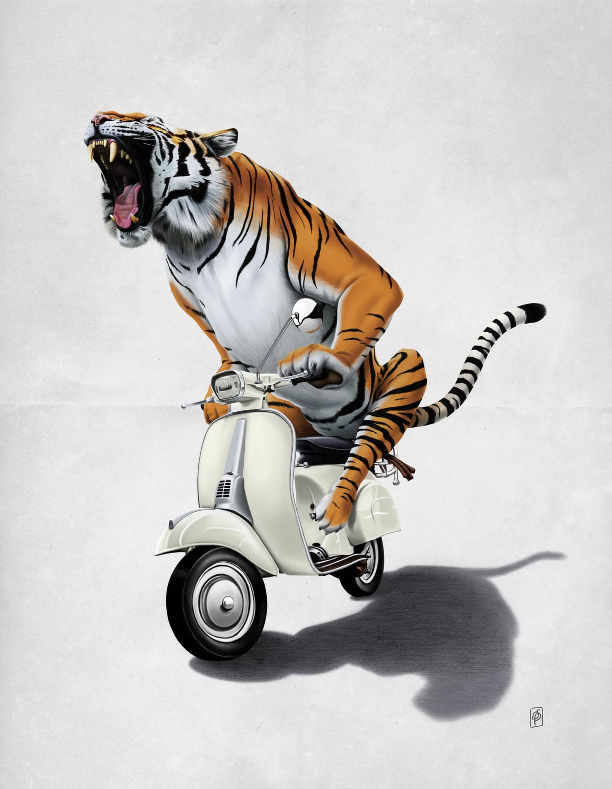 Rooooaaar! (Wordless) by Rob Snow