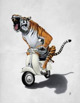 Rooooaaar! (Wordless) by Rob Snow thumbnail