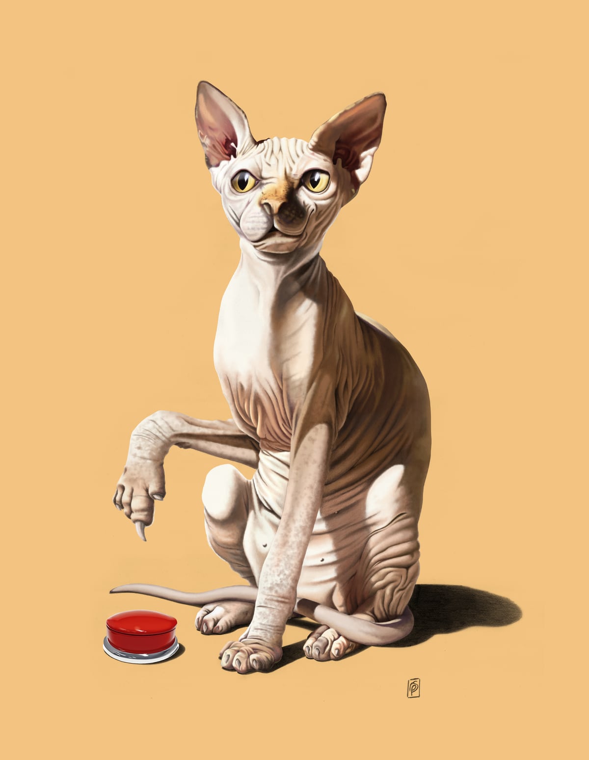 Cat-astrophe (Colour) by Rob Snow