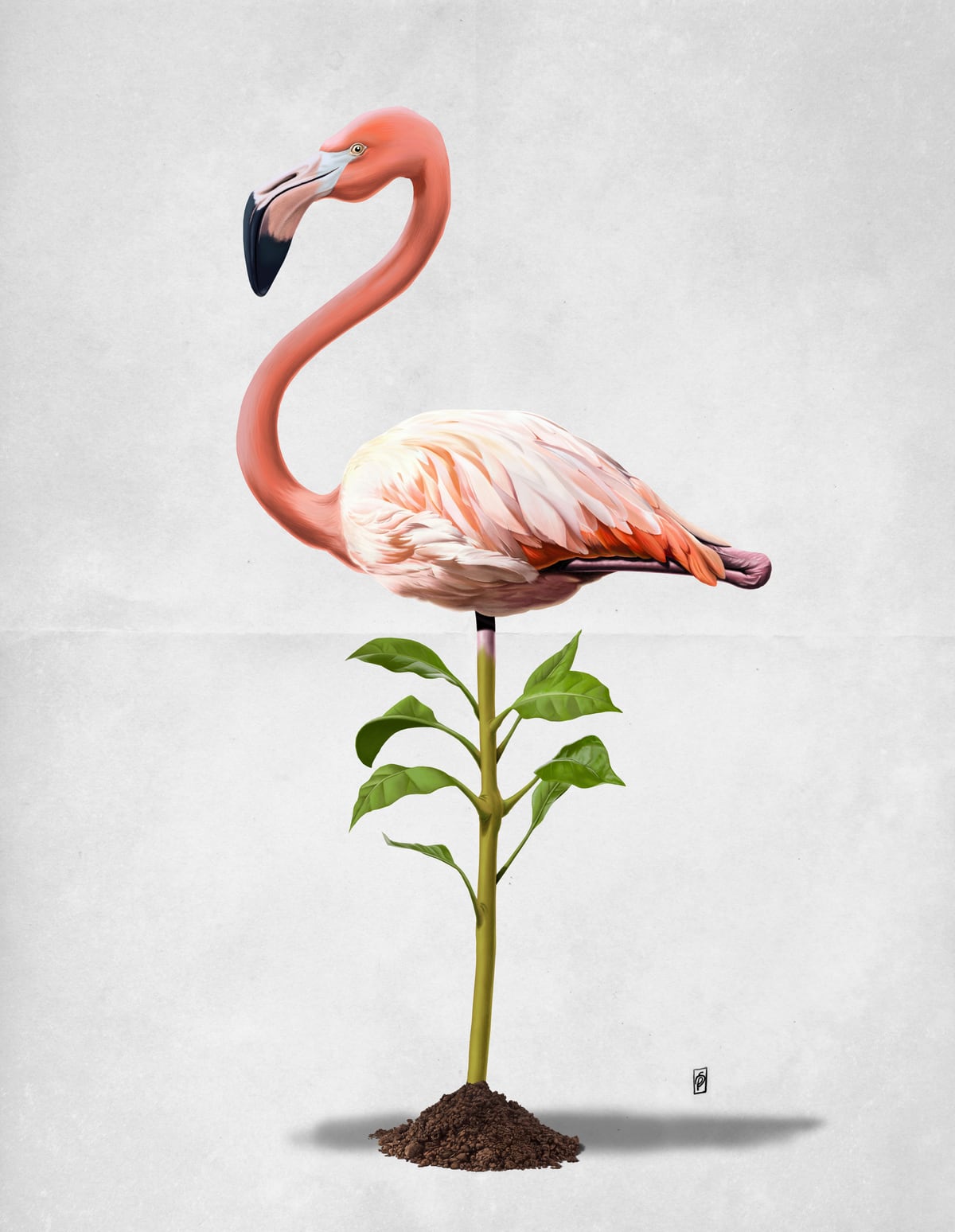 Planted (Wordless) by Rob Snow