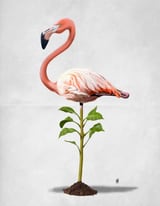 Planted (Wordless) by Rob Snow thumbnail