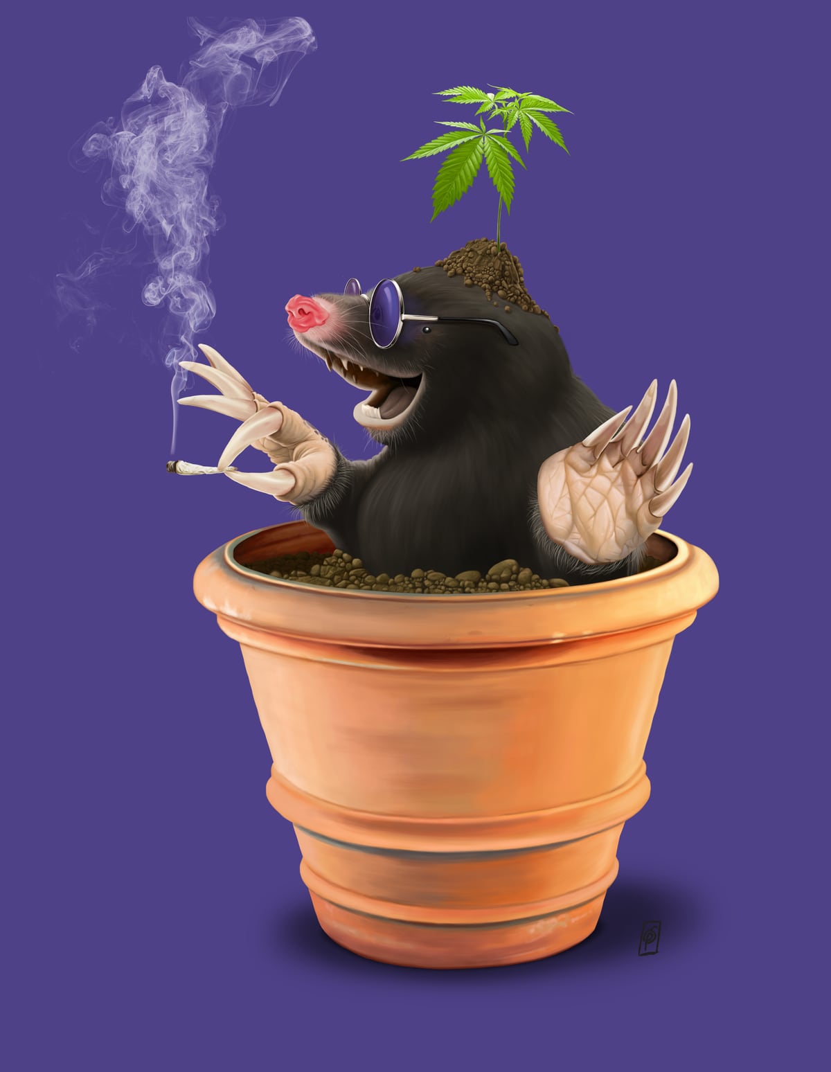 Pot (Colour) by Rob Snow