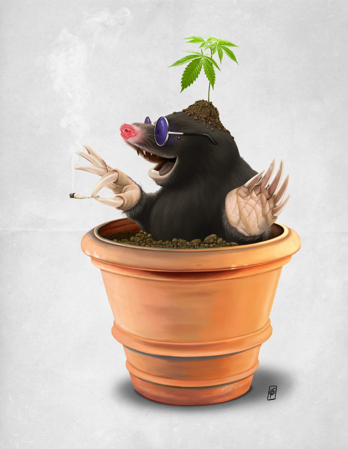 Pot (Wordless) by Rob Snow