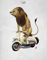 Lamb by Rob Snow thumbnail