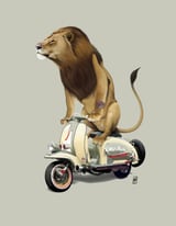 Lamb (Colour) by Rob Snow thumbnail